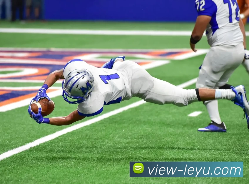 乐鱼体育发展历程