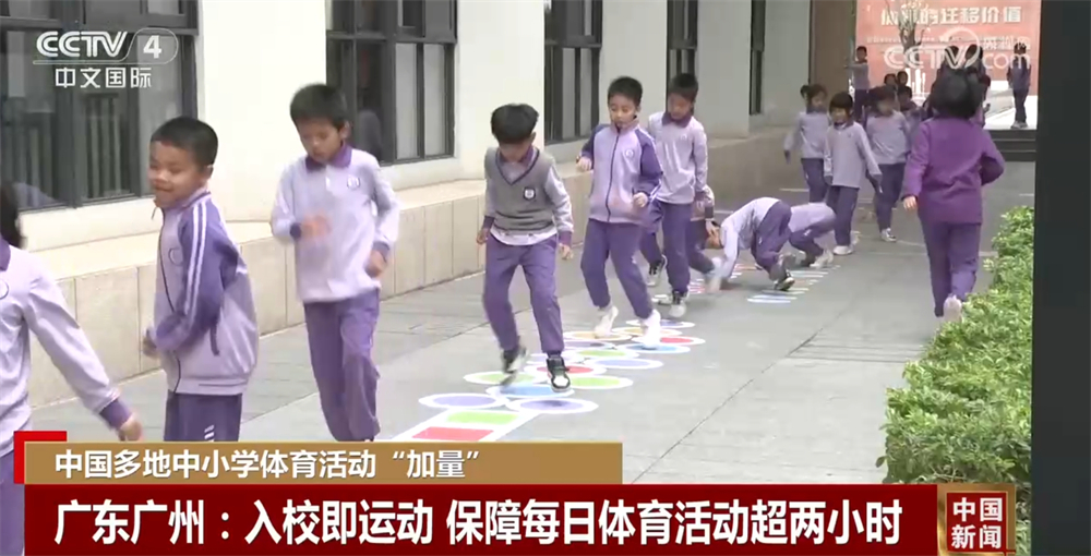 合同与纪律